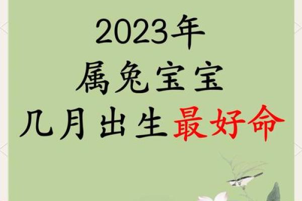 2023年：22岁属兔年轻人的命运解读与人生启示