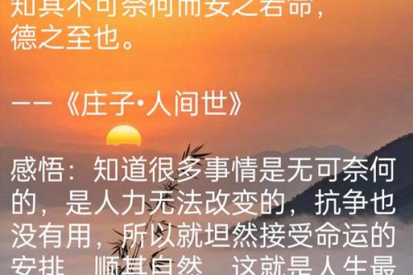 命不该如此：探索命运与选择之间的纠葛