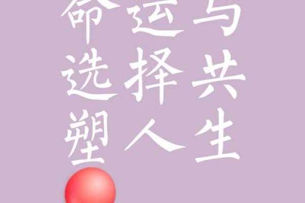 相辅相成，命运交织：人生中的微妙平衡与选择