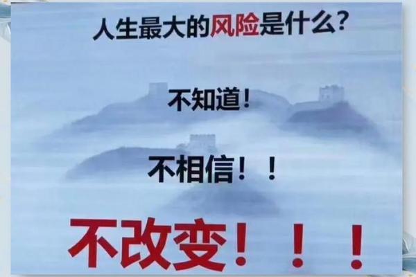 相辅相成，命运交织：人生中的微妙平衡与选择