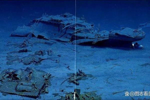 探秘1985：海底金的命理之谜与财富的密码