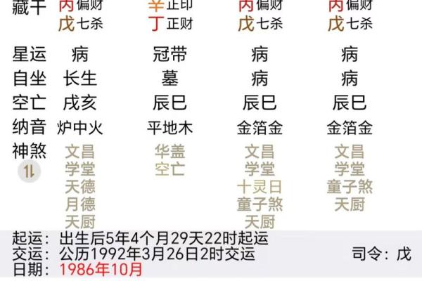 己亥年出生的命理解析：如何了解自己的命运与生活运势