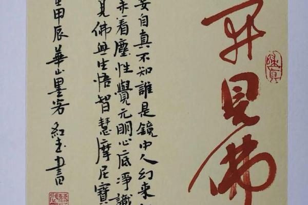 心之所向，命自其成——探讨成语中的人生哲理