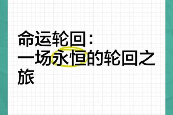 探寻前世的命运：我在轮回中的故事与启示