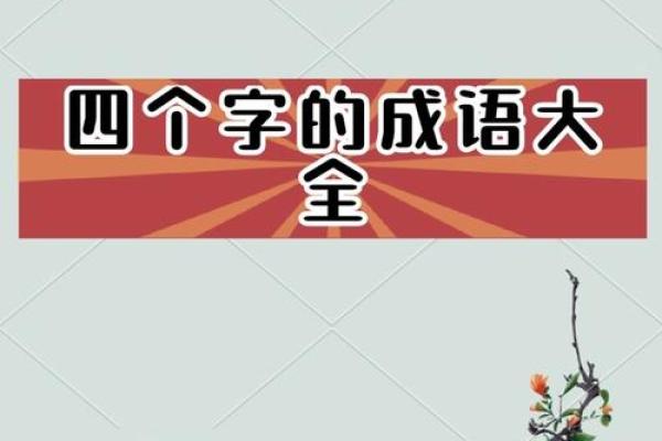 探索汉字魅力：与“什么什么提”相关的成语之美