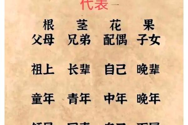 1995年阴历9月出生的命理解析与人生指导