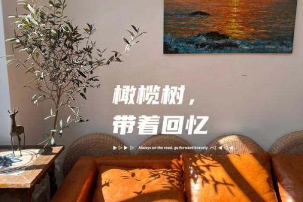 了解橄榄命的不足之处：揭开命理中的神秘面纱