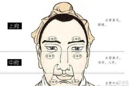 眉形与命运：通过眉毛解读人生轨迹与性格特征