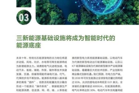 2030年：未来社会的愿景与挑战的思考
