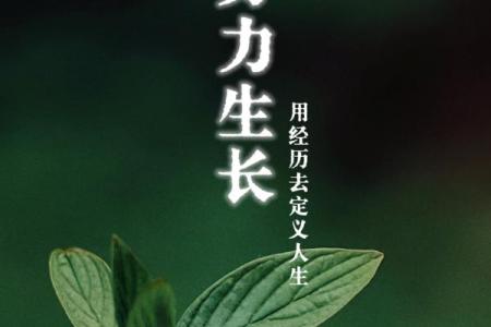 揭开壬申年戌时命理的神秘面纱，了解人生的潜在可能性！