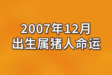 11月出生的猴子命运与人生轨迹解析