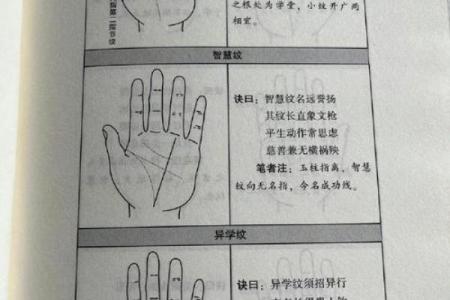 手相解析：透过掌纹看人生的命运与个性