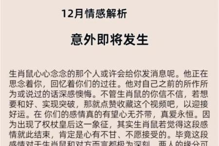 2020年宝宝命理解析：生肖鼠带来的好运与人生建议