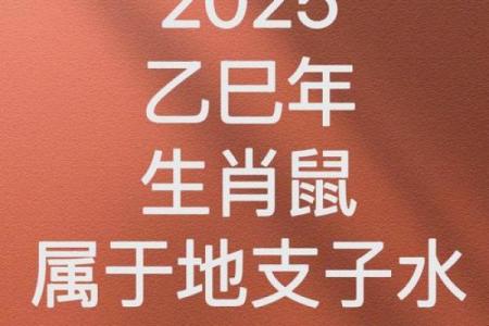 属鼠人为何被视为土命而非水命？深入探讨其背后的文化寓意与命理分析！