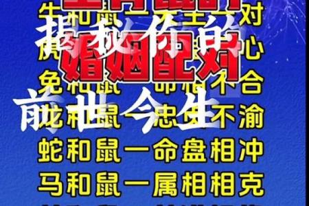 2020年属鼠者的命理分析：缺失与弥补之道