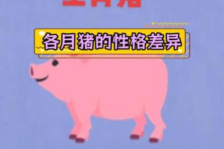 1995年出生的猪：命运与性格的完美结合