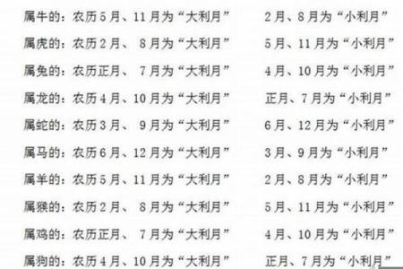 猪年出生的人究竟属于什么五行与命理？深度解析！