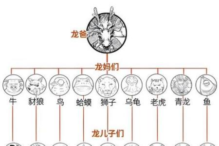 生肖龙：2012年出生的命理解读与人生之路
