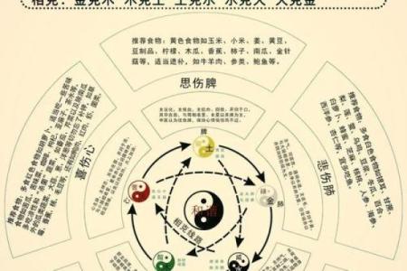 揭开72年鼠年命理之谜：水命与木命的深度解析
