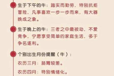 兔年命理：1980年生的兔子命运与性格分析