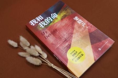 探究“公命”的深刻含义与现实运用