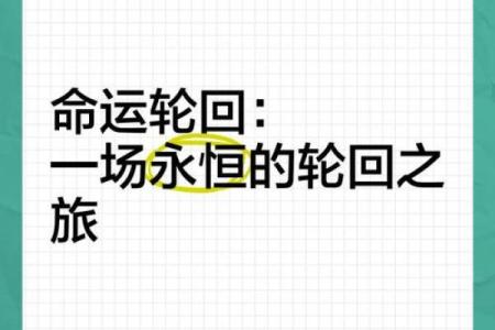 探寻前世的命运：我在轮回中的故事与启示