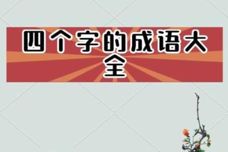 探索汉字魅力：与“什么什么提”相关的成语之美