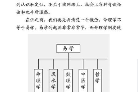 了解橄榄命的不足之处：揭开命理中的神秘面纱