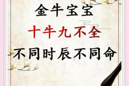 36岁属牛之命运解析：揭示你的成功密码与生活智慧