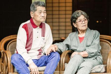 2071年平鸡年：揭秘命理与人生的和谐之道