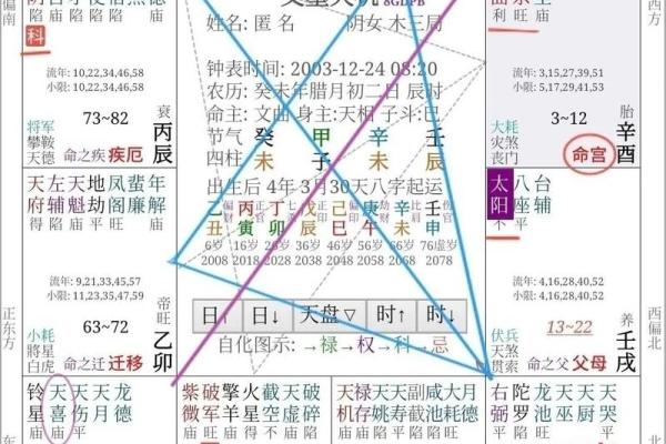解析紫薇命盘中的大限——揭示人生重要转折的神秘法则