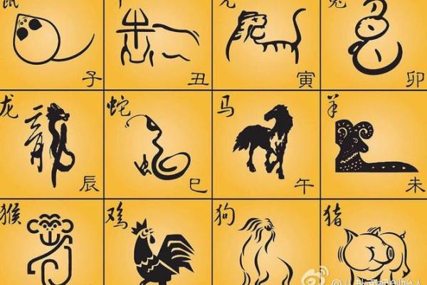 属牛命理解析：属牛的命缺什么，如何改善运势