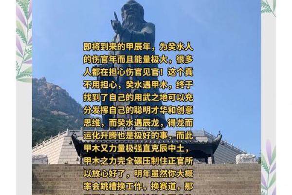 解密儿子水命：水的力量与人生方向的选择