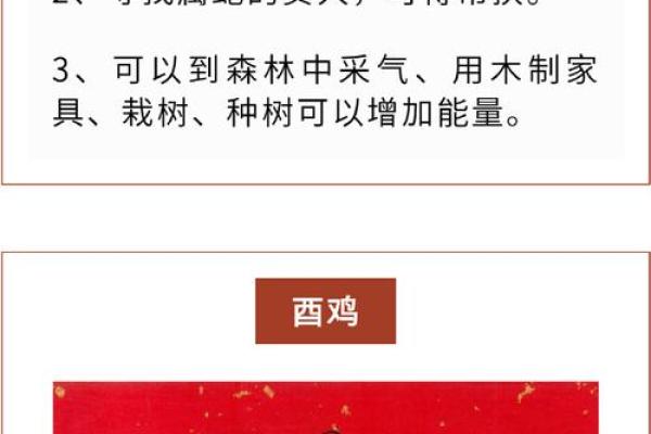 探索土命生肖的奥秘：在五行中寻找属于你的生肖智慧