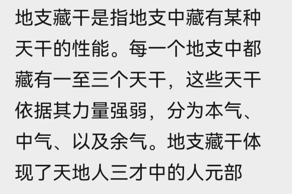 天干与地支的神秘之旅：命理解析与观察人生