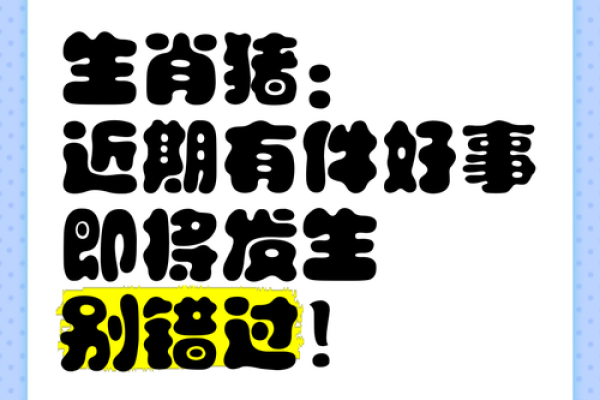 2007猪年，命理奥秘：探索你的事业与生活机遇