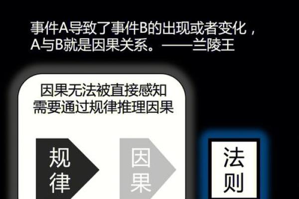 靠命运的人：揭示人生背后的秘密与选择