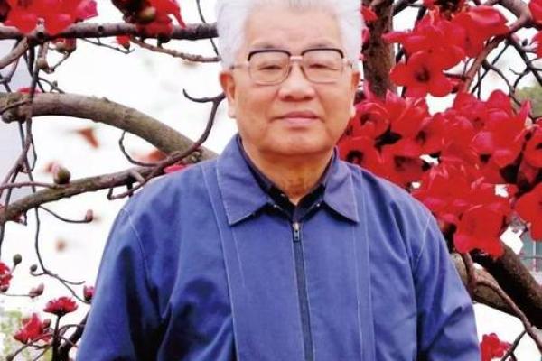 探索1980年代出生者的命运特征与人生轨迹