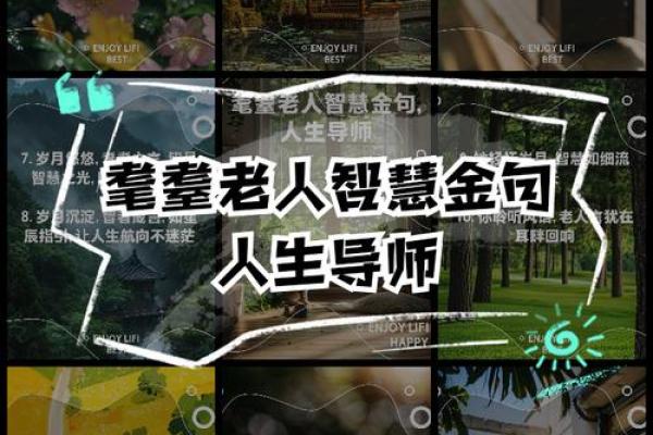 95岁生肖命运解读：走过岁月的智慧与人生的真谛