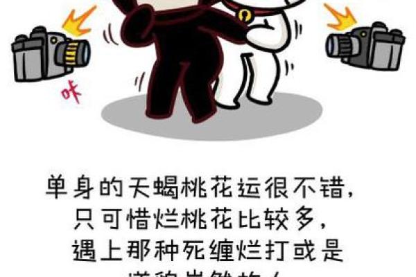 探秘桃花劫：命理学中的爱情与财运之谜