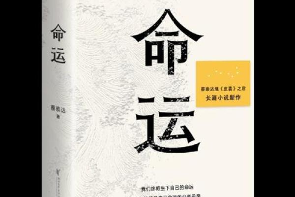 九头十三命：命运的游戏与人生的抉择