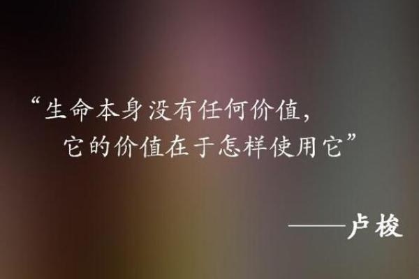 为了金钱，生命的价值何在？