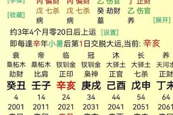壬子年命理解析：看星座与命运的神秘联系