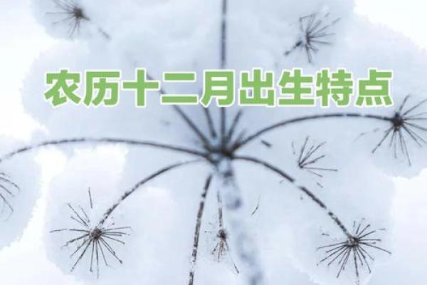 农历廿五出生的命运解析：你是何方神圣？