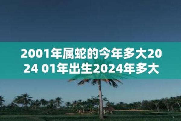 探寻2001年属蛇人的命运与性格特征