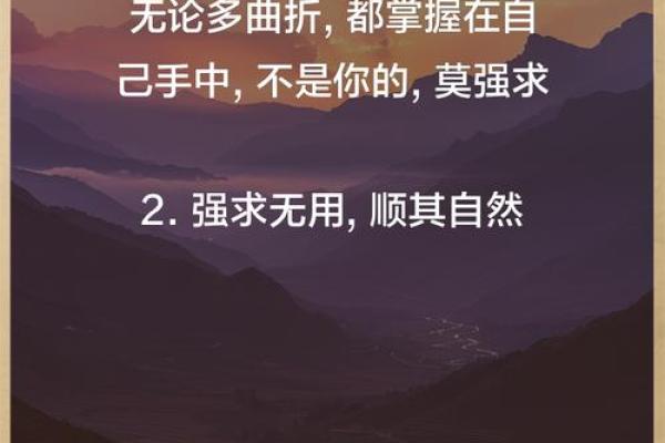24虚岁属什么命？深入解析你的命运与未来