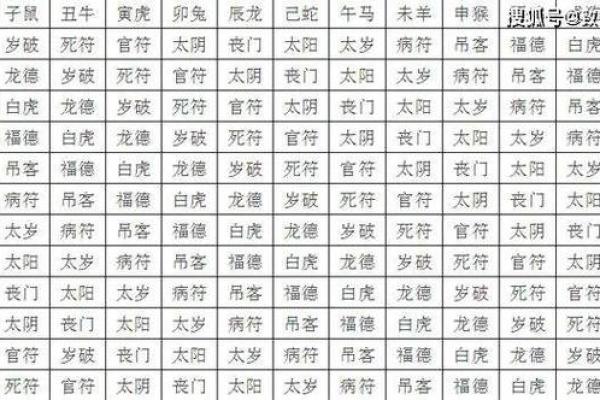 女性生肖属相的命运揭秘：如何理解与改变命运