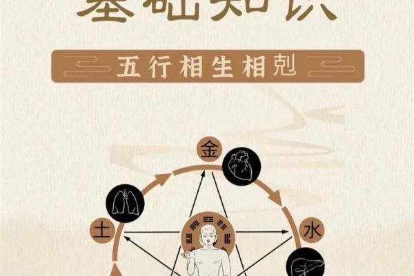 富贵命的深意与相克关系的探索