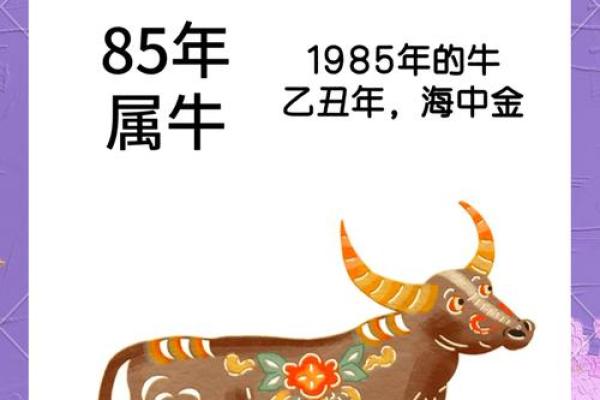 解命的智慧：解析生肖男生的性格与魅力