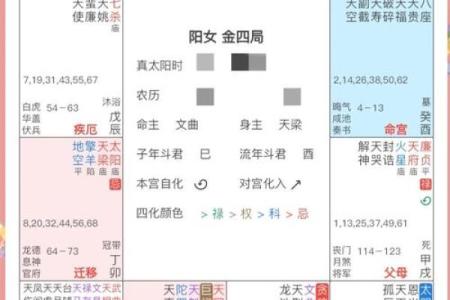 解析紫薇命盘中的大限——揭示人生重要转折的神秘法则